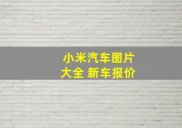 小米汽车图片大全 新车报价